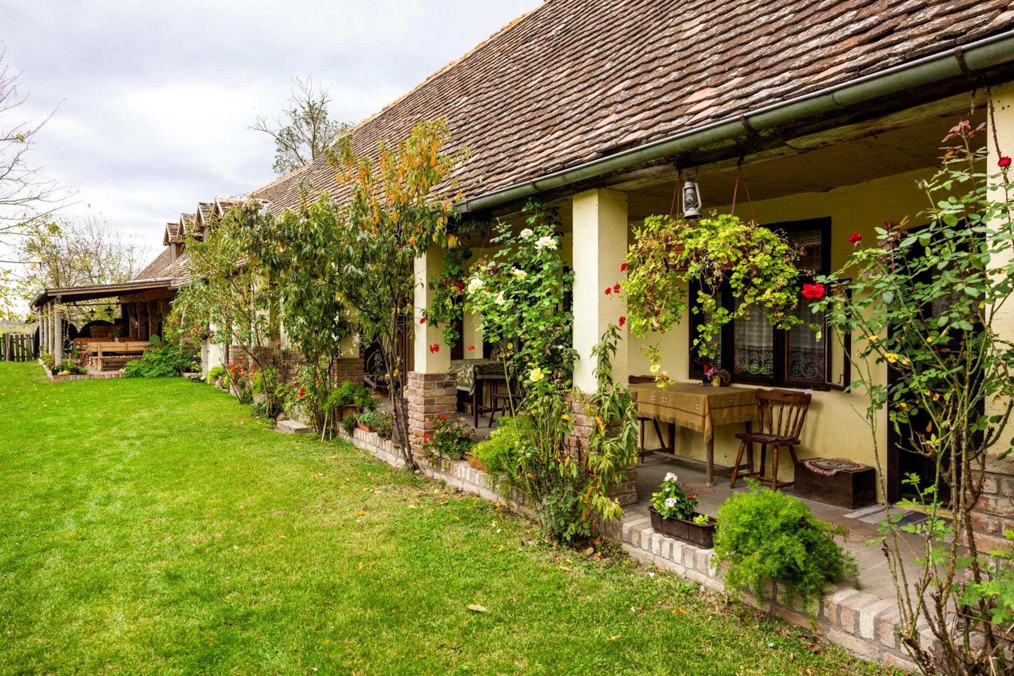 Snasini Kucari Bed & Breakfast Gradiste Ngoại thất bức ảnh