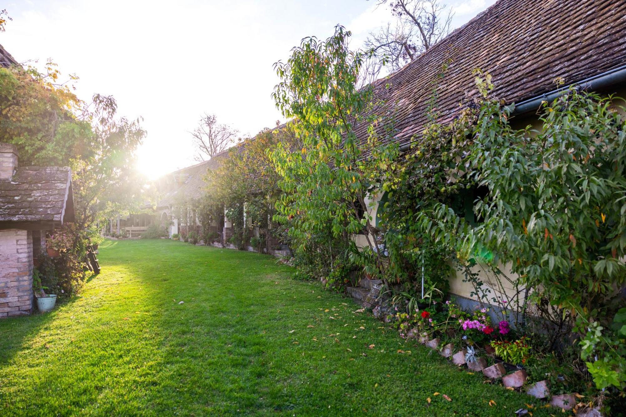 Snasini Kucari Bed & Breakfast Gradiste Ngoại thất bức ảnh