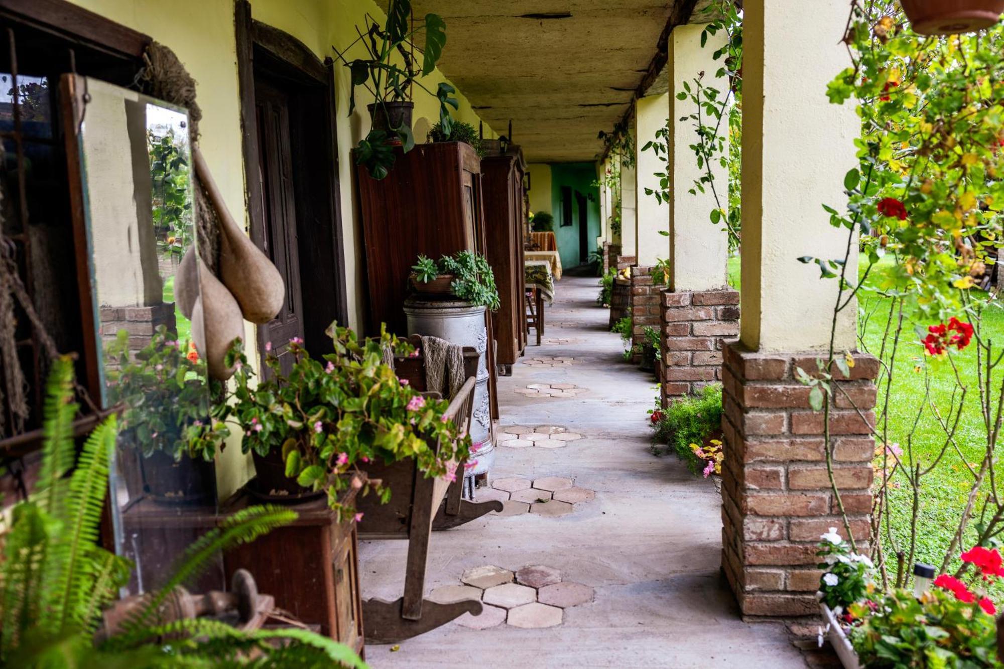 Snasini Kucari Bed & Breakfast Gradiste Ngoại thất bức ảnh